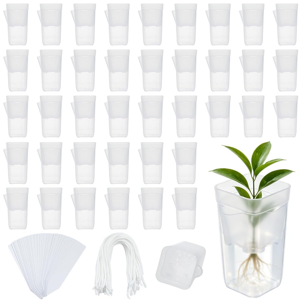 ORIGACH 40 Packung 5cm kleinen Selbstbewässernden Töpfen Für Zimmerpflanzen Mit 100 Pflanzenetiketten Mini Quadratischem Kunststoff Pflanzgefäße Mit Abflussloch Zur Vermehrung Sukkulenten Alocasia