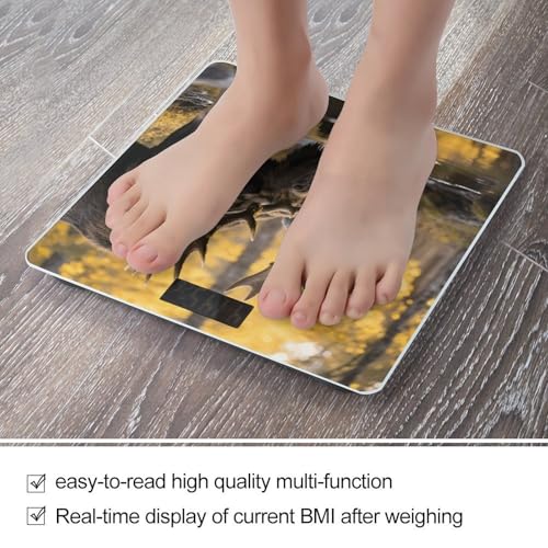 Báscula digital de baño vidrio templado con pantalla LCD miniatura 5