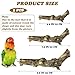 PINVNBY 3 Sizes Natural Bird Perches Wooden Parakeet Perches Bird Perches for Cage Parrot Chewing Stick Paw Grinding Exercise Training Bird Cage Accessories for Budgies Conures Cockatiels Lovebirds