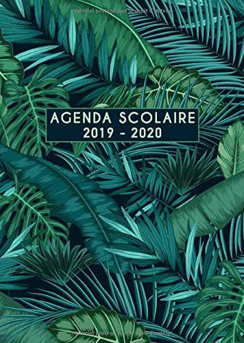 Télécharger Agenda scolaire 2019 2020: Timer, organisateurs, cahiers de devoirs et calendriers, août 2019 - ao livre En ligne