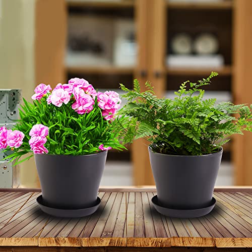 Lesunsul Flower Nursery Pot, Plastic Gardening Pot, 20 Pack 5.5 Inch Black Round Plastic Planter Pot With Drainage Hole And Tray, Flower Nursery Pots For House Plants, Succulents, Flowers, And Cactus #TOP6