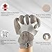 Schwer ProGuard-X Highest Level Cut Resistant Stainless Steel Metal Mesh Chainmail Glove PM5201 Butcher Glove for Meat Cutting Food Processing Knife Sharpening Oyster Shucking Kitchen Fish Fillet, XS