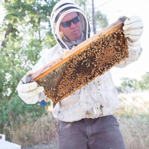 Cosmic Radio Interview with Beekeeper Carson Elmer