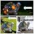 Solar Garden Outdoor Statues Turtle with Succulent and 7 LED Lights -Waterproof Animal Lawn Decor Statue for Patio, Balcony, Yard Ornament for Mom Grandma Women