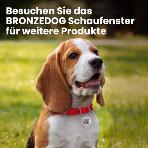 BRONZEDOG Maulkorb für Pitbull Hund aus atmungsaktivem Metallkorb für große Hunde wie Amstaff und Staffordshire Terrier – mit Nylonriemen – gegen Beißen, Kauen und Bellen