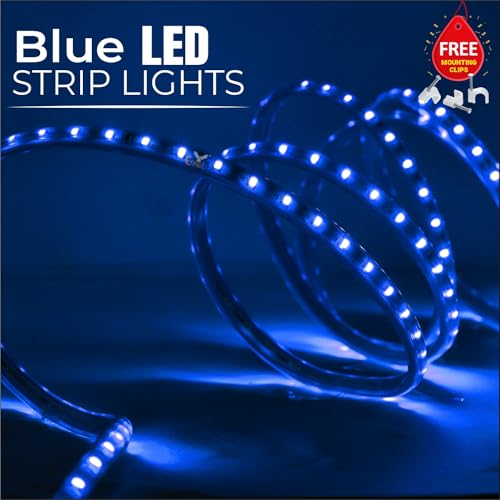 Image of Errol led Strip Lights for Home Decoration | Waterproof led Rope Lights | Energy Saving Strip Light for Room | Home Decor Lights for Diwali, Christmas, Outdoor (Blue, 4 Meter)