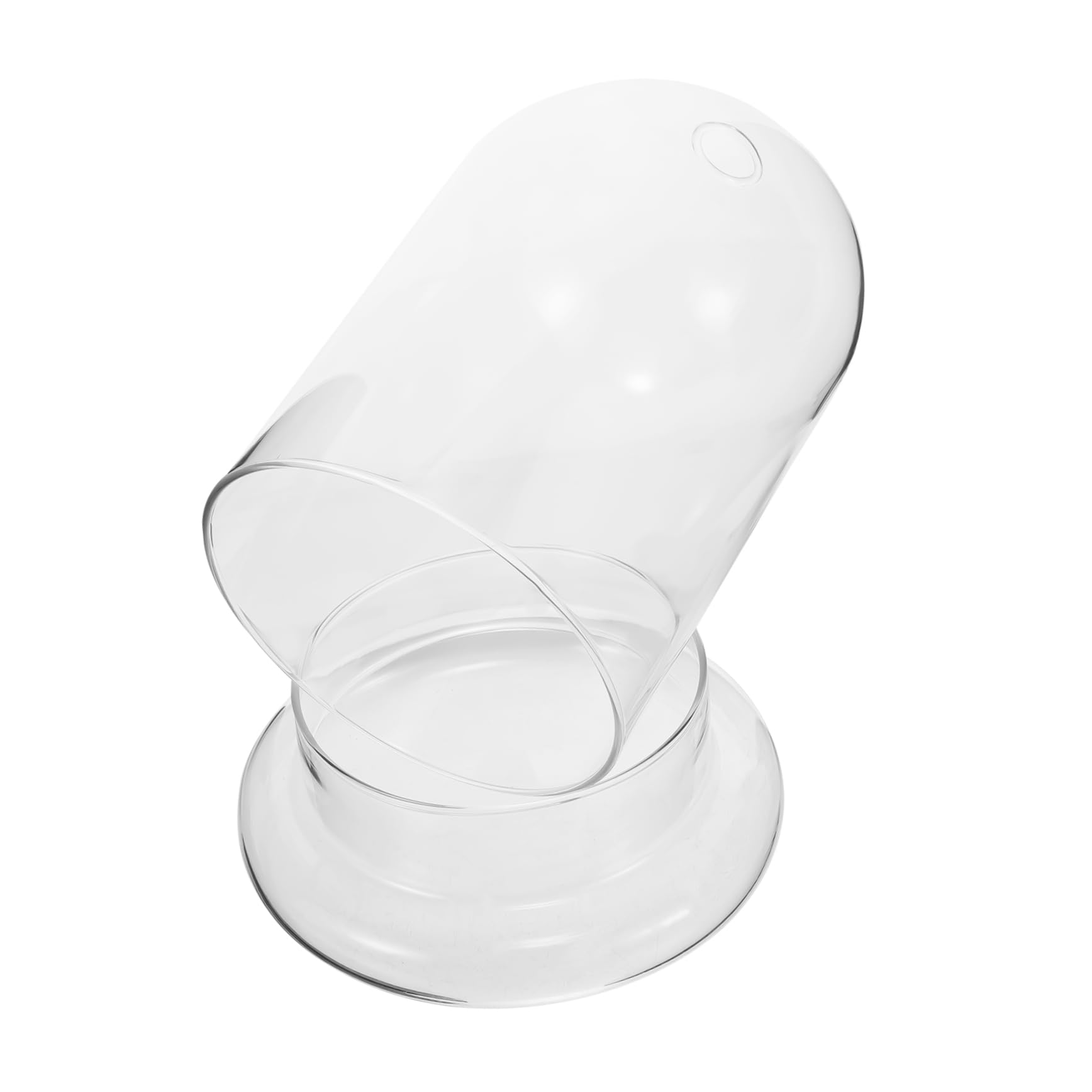 Verre transparent de qualite pour cloche micro-paysage