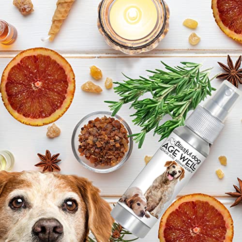 Image of The Blissful Dog Brittany Spaniel Age Well Spray Aromatherapy