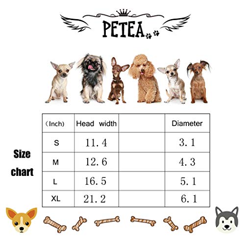 Petea Dog Hat Pet Baseball Cap Dogs Sport Hat Visor Cap With Ear Holes And Chin Strap For Dogs And Cats 4 Sizes 5 Colors (Cowboy Blue, M) #TOP6