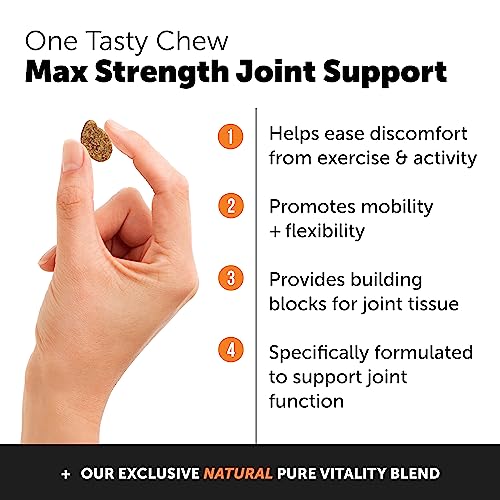 Pet Honesty Hip & Joint Health Max Strength - Natural Joint Supplement With Glucosamine, Omega-3S, Chondroitin, Green Lipped Mussel - Dog Chews Help Improve Mobility, May Reduce Discomfort (90 Ct) #TOP1