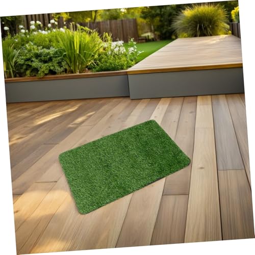 Tapis entrée amortissant résistant ifundom pour entrée propre