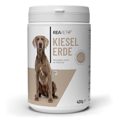 ReaVET Polvo de sílice para perro, 400 g, dosis elevada para el apoyo a la piel y el pelaje, aditivo Barf
