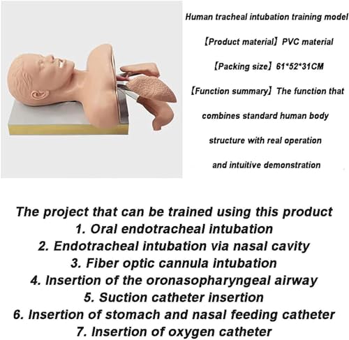 Rzekszy 326565 Advanced Oral Nasal Intubation Manikin,Intubation Manikin Airway Management Trainer,With Tooth Alarm Device Simulator Airway Management Trainer Intubation Head Teaching thumb #5
