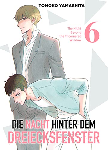Die Nacht hinter dem Dreiecksfenster, Band 6