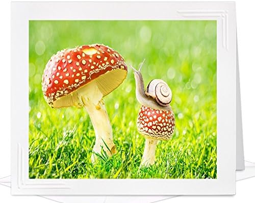 Children's Birthday Card of Snail on Dotted Mushroom - frameable metallic photo