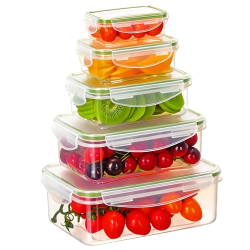 Cozary 10 Pezzi Contenitori Ermetici per Alimenti (5 Contenitori, 5