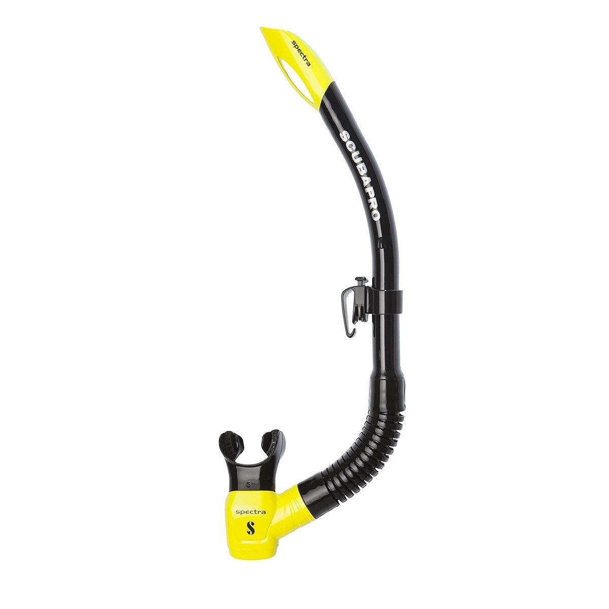Attache Spectra – snorkeling