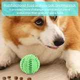 NEERIX Futterball für Kleine Große Hunde,Zahnpflege Hunde Spielsachen,Naturkautschuk Hundespielzeug Intelligenz Ball,Interaktiver Leckerli Spender,Zahnreinigung, IQ Training(5 cm, Blau,Grün)