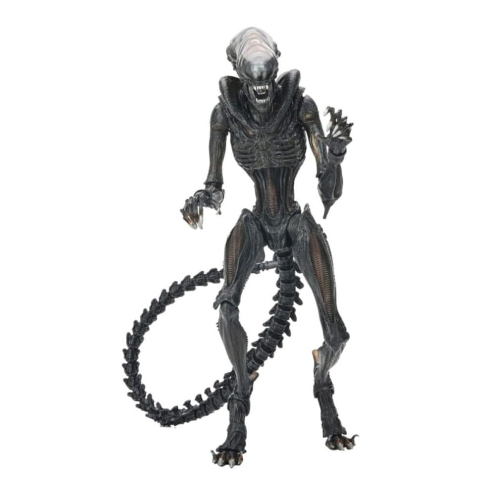 Amazon.co.jp: NECA ゼノモーフ エイリアン ロムルス アクション