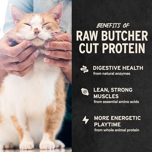Image of Vital Essentials Freeze Dried Raw Chicken Hearts Cat Treats | Single Ingredient | Premium Quality | Grain Free, Healthy Treats for Cats, 2.75 oz Bag
