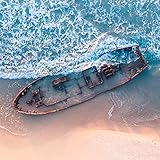 Belief of Survival/Discovery