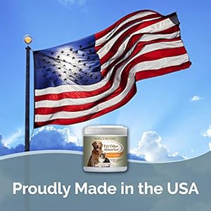 SMELLS-BEGONE-Air-Freshener-Pet-Odor-Absorber-Gel-15-oz-Pack-of-2-Absorbs-and-Eliminates-Odor-in-Pet-Areas-Bathrooms-Cars-Boats-Made-with-Essential-Oils-Citrus-Scent - Cucciolini Doodles   SMELLS-BEGONE-Air-Freshener-Pet-Odor-Absorber-Gel-15-oz-Pack-of-2-Absorbs-and-Eliminates-Odor-in-Pet-Areas-Bathrooms-Cars-Boats-Made-with-Essential-Oils-Citrus-Scent