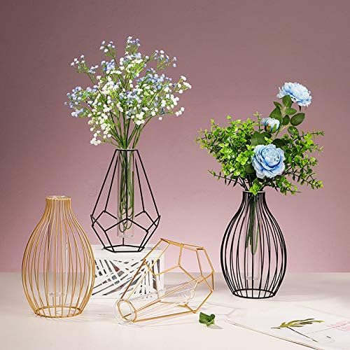 Metal Frame Vase, Lantern Shape Glass Test Tube Vase, Flower Vase for Hydroponic Plant, Solid Terrariums Small Bud Vase for Office Home