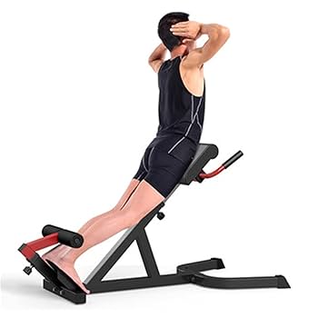 Amazon.co.jp: トレーニング 腹筋マシーン ローワーバック