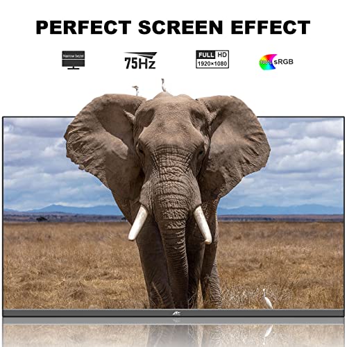 Kenowa 22 Inch Computer Monitor, Fhd Ips 1080P Monitor 75Hz 100% Srgb 178° Wide Viewing Angle Pc Monitor, Hdmi Vga Port, Low Blue Light Desktop Monitor Support Vesa Mount, For Home And Office #TOP1