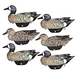 Lifetime Decoys HydroFoam Blue Wing Teal 6 Pack - Light as a feather - Lasts forever