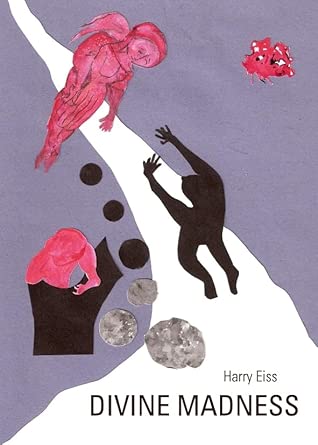 Divine Madness book cover