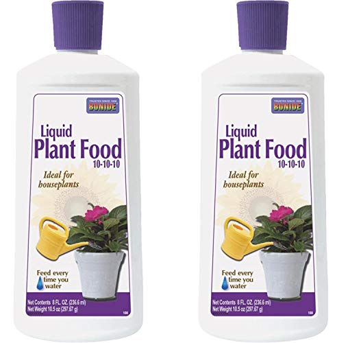 Best Liquid Foods