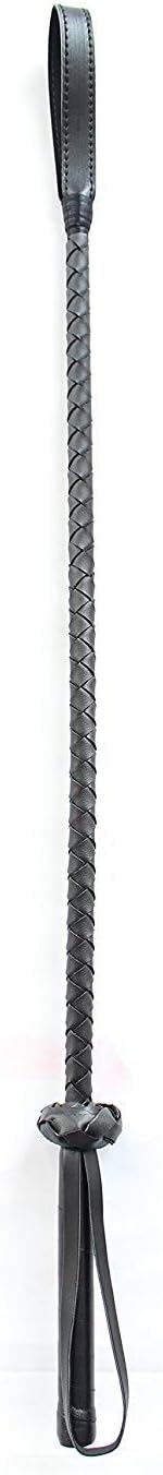 PETWORLD Dog Walking Whip Stick