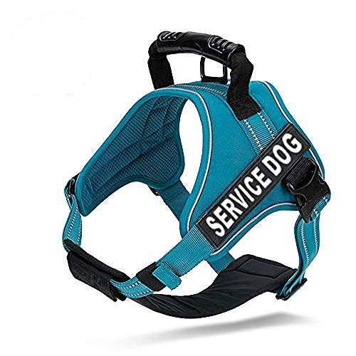 Chai’s Choice - Scratch-Resistant Polyester Material Dog Vest