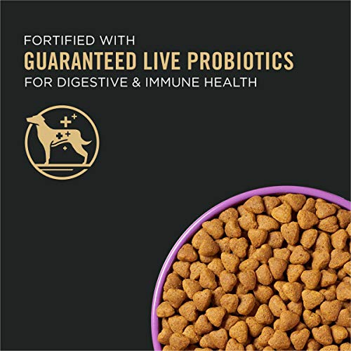 Purina Pro Plan High Energy, High Protein Dog Food, Sport 30/20 Salmon & Rice Formula - 33 Lb. Bag #TOP1