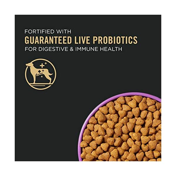 Purina Pro Plan Dry Dog Food, Sport, Performance 30/20 Salmon and Rice Formula, 33-Pound Bag, Pack of 1 Purina Pro Plan Dry Dog Food, Sport, Performance 30/20 Salmon and Rice Formula, 33-Pound Bag, Pack of 1