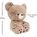 GUND Kai Teddy Bear Plush Toy, Premium Stuffed Animal for Ages 1 and Up, Taupe, 12”
