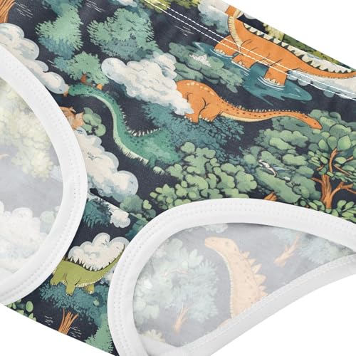 Wusikd Dinosaurs Girls' Underwear Cotton Clouds Trees Girls Briefs Soft Toddler Underwear 2T4