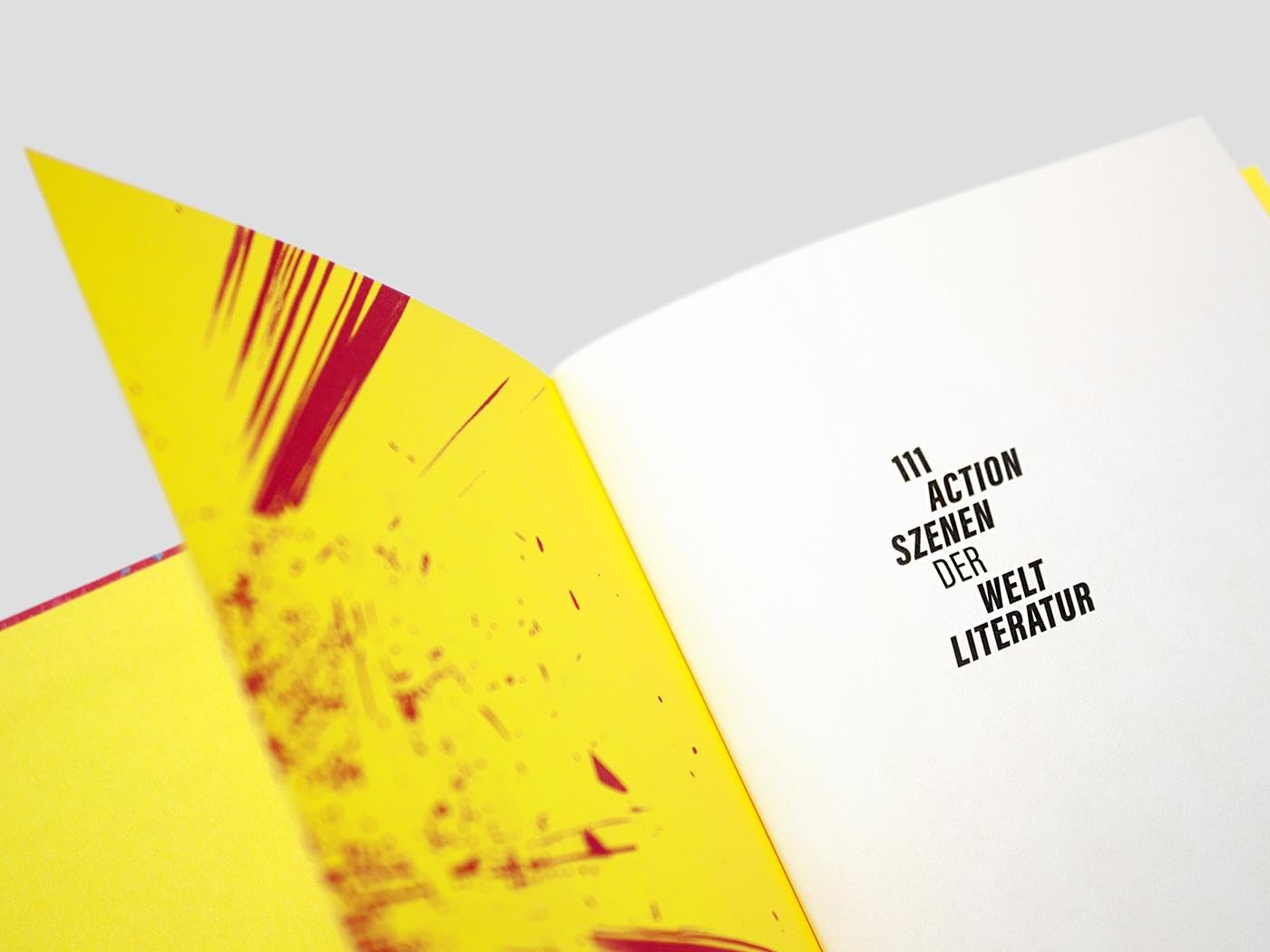 111 Actionszenen der Weltliteratur: Limitierte, nummerierte Originalausgabe im Schuber (Die Andere Bibliothek, Band 477)