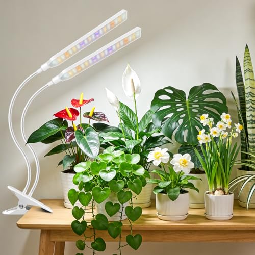 Lampe de croissance blanche à 2 têtes Kullinss avec minuterie pour plantes d'intérieur