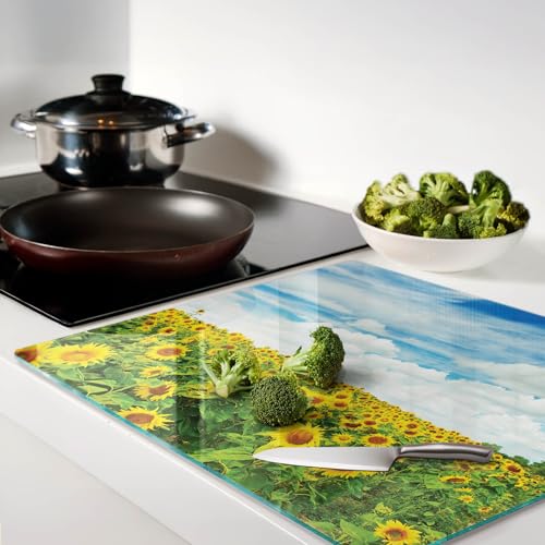 Protège-plan de travail rectangulaire 60x52 cm imperméable en verre avec bords polis