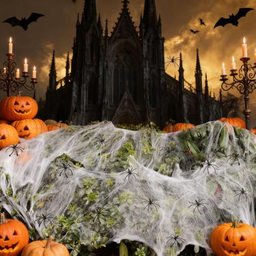 HERKINDNESS Spinnennetz Deko, 200g Weiße Dehnbare Spinnennetze und 60 Stück Schwarze Künstliche Halloween Spinnen, Halloween-Dekoration, für Dekoration Garten, Türen, Fenstern...