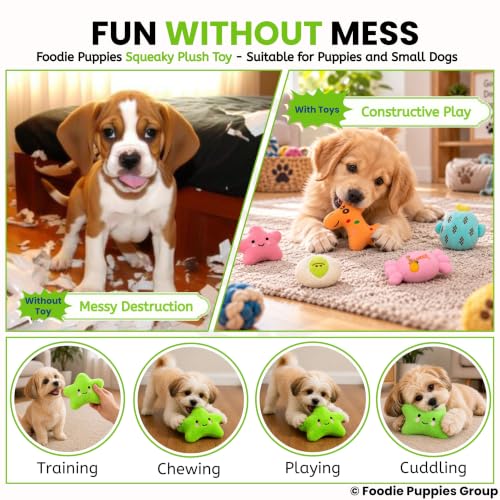 Image of Foodie Puppies Dog Squeaky Plush Toy - Receive 1 Random Plush Toy Only | Design May Vary | Soft & Durable Chew Toy for Puppies & Small Dogs | Playtime & Teething