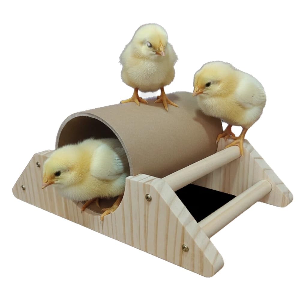 Percha para pollitos de pino con túnel de ocultación, barra fuerte para jugar al gimnasio, juguetes de pollo de accesorios de gallinero y criadora, juguetes de perca de entrenamiento para pájaros