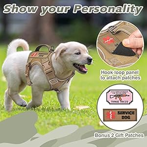 Tactical-Dog-Harness-for-Small-Dog-No-Pull-Military-Service-Dog-Vest-with-Vertical-Handle-Reflective-Puppy-Vest-Harness-for-Outdoor-Training-Khaki-XS - Cucciolini Doodles   Tactical-Dog-Harness-for-Small-Dog-No-Pull-Military-Service-Dog-Vest-with-Vertical-Handle-Reflective-Puppy-Vest-Harness-for-Outdoor-Training-Khaki-XS