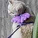 Wing Decoration Pet Harness Rabbit Chest Strap 1 Set Leash Angel Wings Decor Rabbits Adjustable Comfortable Small Purple M