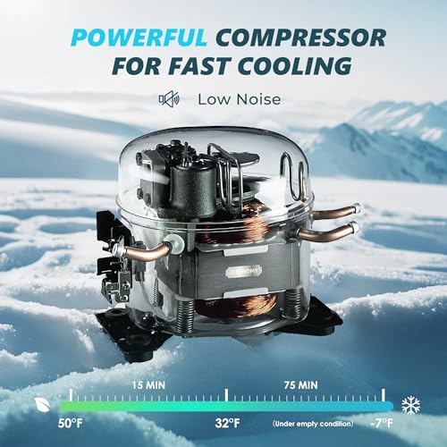 EUHOMY 19QT Electric Cooler for Car