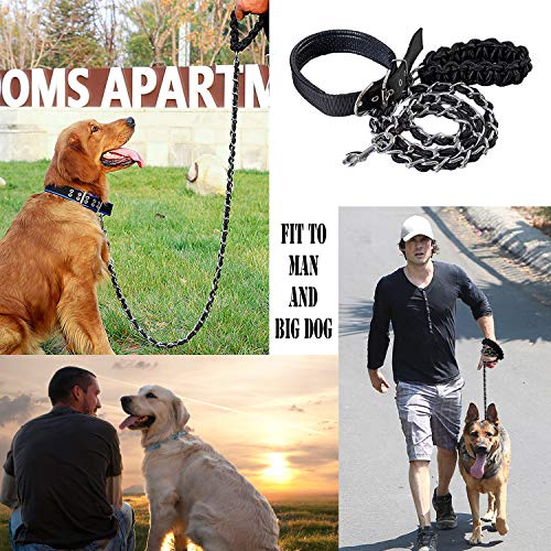 Dog Leash Metal Leashes With Pet Collar Training Walking Leads Heavy Duty Anti Bite Chain Rope Hook For Medium And Large Dogs (Large) #TOP3
