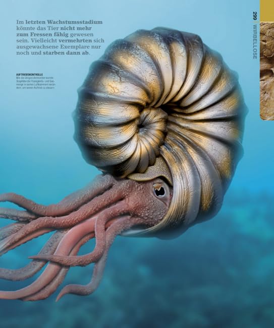Die Urzeit: Die große Bild-Enzyklopädie mit über 2500 Farbfotografien und Grafiken