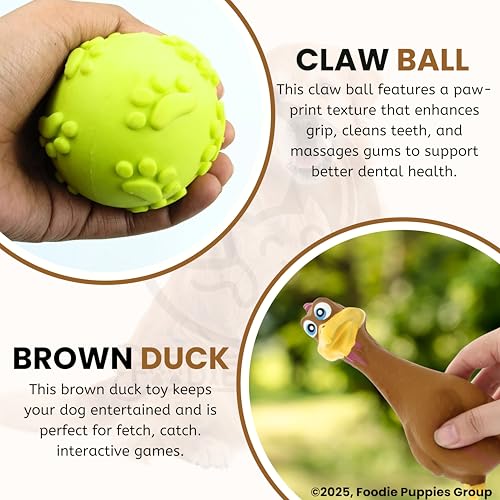 Image of Foodie Puppies Dog Squeaky Toy Combo of (Brown Duck + Claw Ball) | Natural Latex Rubber Toys for Small Dogs & Puppies | Durable, Chewing, Fetching, Playing, Teething & Training Chew Safe Play Toy